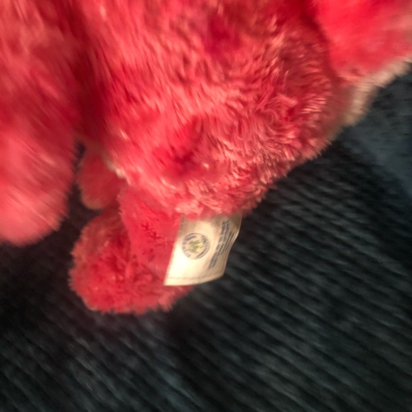 Dinosaur - Picture 2 of 2